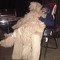 Gregory Bear