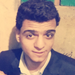 ragab mohammed