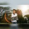 Rahmad Hidayat