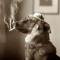 headinthe(sound)cloud