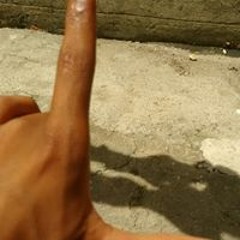 trem do boa