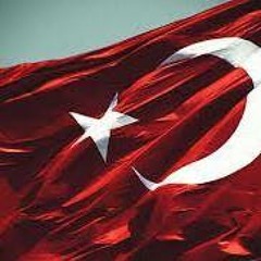 Mustafa Fatih Şirin