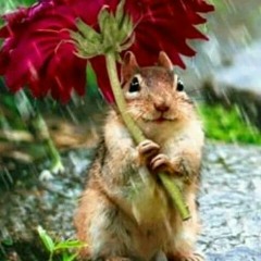 اغاني جديدة