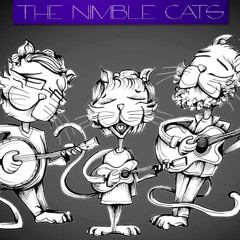 The Nimble Cats