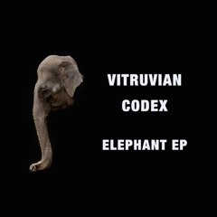 vitruviancodex