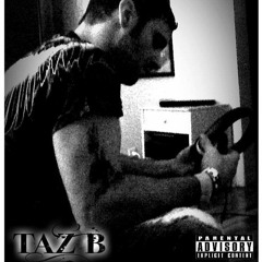 TAZ/B