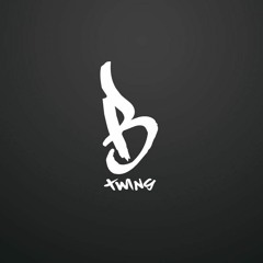 Dj Btwins