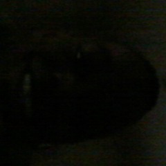 jermaine