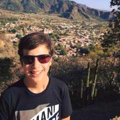 Stefan Scheel Sikaffy