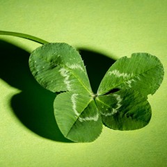CLOVER4