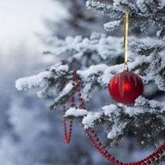 Алим Фаткуллин forest)