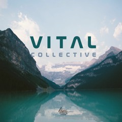 \/IT/\L COLLECTIVE