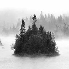 Voice of Fog