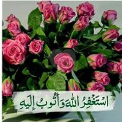 وقل ربى ارحمهما