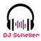 DJS