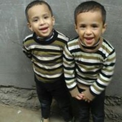 حسين امين حسين