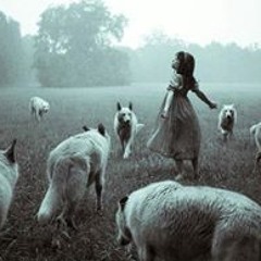 Delioma C. Fernández