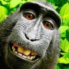 Reverand Simon Quoreenton