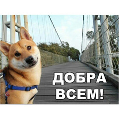 Yelena Secret