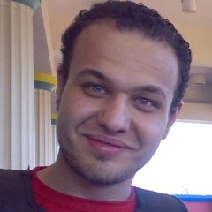 mahmoud hanafi