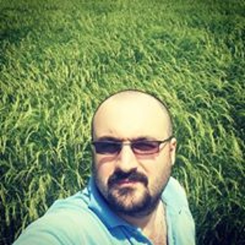 Roozbeh Ramezani’s avatar
