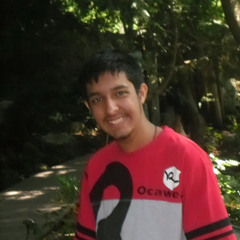 zeeshan ali