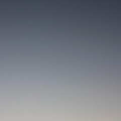 roofilyn