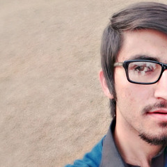 shahzeb ali