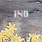 iNO⌷⎕⎕Fitz