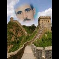 Mohamed B Kotp