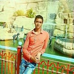 Mohamed Salah Salm