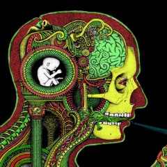 Gonzo