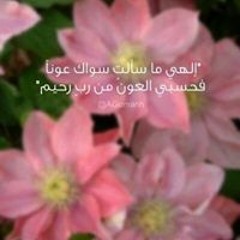 Shorouk Mohsen