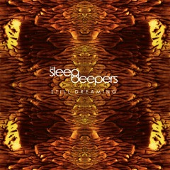 The Sleep Deepers