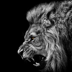 Tech House Top 100