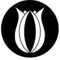 User 2626527