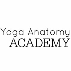 Yoga Anatomy Academy