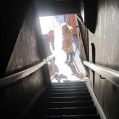 Cartouche Marionnette