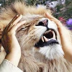 Neurofunk/Dnb