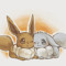 LoLotad /EeveeLover103