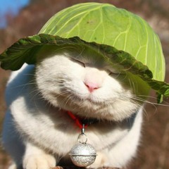 Những Tâm Hồn Cô Đơn - Thế Sơn, Nguyên Khang, Quốc Khanh, Lê Quốc Tuấn