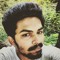 NIDHIN flu