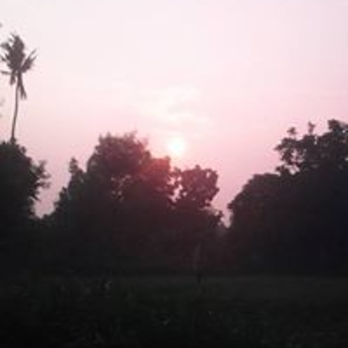 Dimas Tedjo