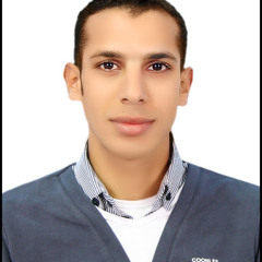 Ahmed Elimam