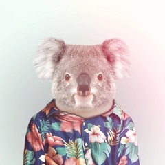 Tropikoala