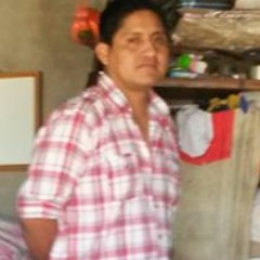 mucica