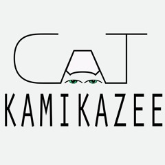 Cat Kamikazee
