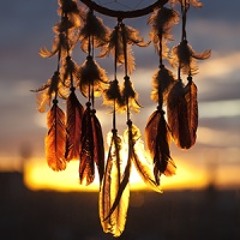 Dream Catcher