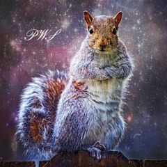 Plays with Squirrels