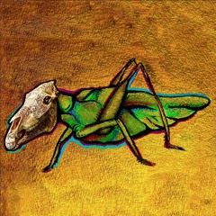 slick cricket